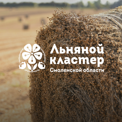 Льняной кластер